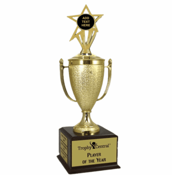 Champion's Trophy with Blank Engravable Insert - Click to enlarge