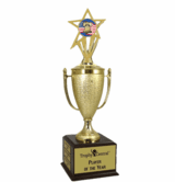Champion's Trophy with Citizenship Insert