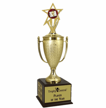 Champion's Trophy with Coach Insert - Click to enlarge