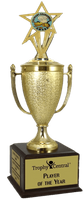 Champion's Trophy with Culinary Insert