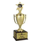 Champion's Trophy with Darts Insert