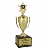 Champion's Trophy with Darts Insert