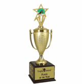 Champion's Trophy with Downhill Skiing Insert