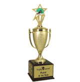 Champion's Trophy with Downhill Skiing Insert
