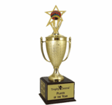 Champion's Trophy with Graduation Insert
