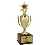 Champion's Trophy with Graduation Insert