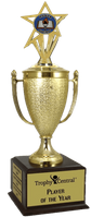 Champion's Trophy with Honor Society Insert