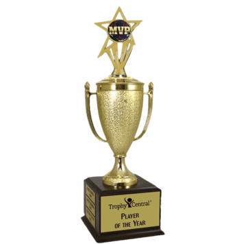 Champion's Trophy with MVP Insert - Click to enlarge