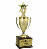 Champion's Trophy with Pickleball Insert