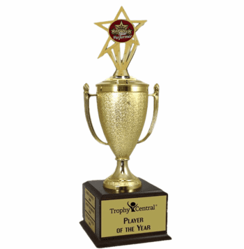 Champion's Trophy with Star Performer Insert - Click to enlarge