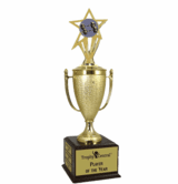 Champion's Trophy with Weightlifting Insert