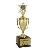 Champion's Trophy with Weightlifting Insert