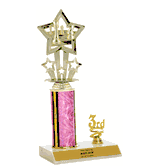 Chess Trophy with 1st, 2nd, or 3rd Place Trim  Ideal for Tournaments