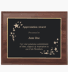 Custom Engraved Trophies and Awards, Plaques, and More!