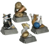 Participation Series - Sports Subjects