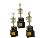 Perpetual Classic Trophy