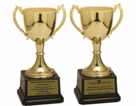 Cup & Bowl Trophies
