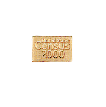 Custom Brass Pins - Click to enlarge