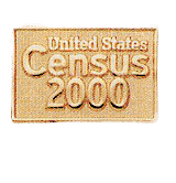 Custom Pins with Brass Finish