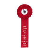 Custom Single Streamer Rosette Ribbons