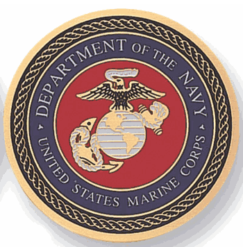 Department Of The Navy Sumac Medal Insert (Etched) - Click to enlarge