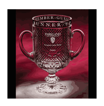 Diamond Championship Cup Awards - Click to enlarge