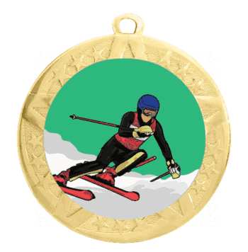 Downhill Skiing Epoxy Dome Insert Medal with Gold Frame - Click to enlarge