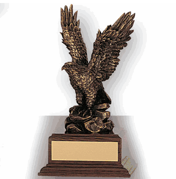 Eagle Leadership Award - Click to enlarge