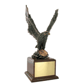 Eagle Leadership Award with Insert