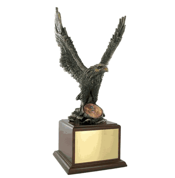 Eagle Leadership Award with Insert - Click to enlarge