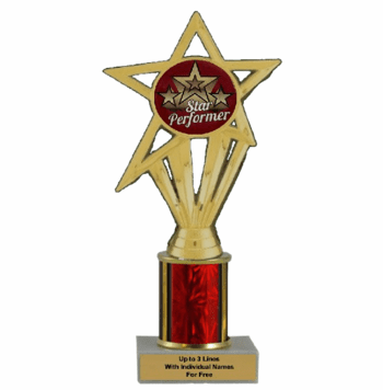 Economy Column Insert Trophy - Star Performer - Click to enlarge