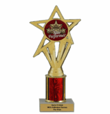 Economy Column Insert Trophy - Star Performer