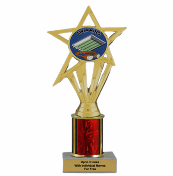 Swimming Economy Column Insert Trophy - Click to enlarge