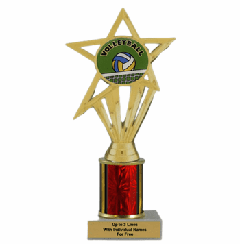Volleyball Economy Column Insert Trophy - Click to enlarge