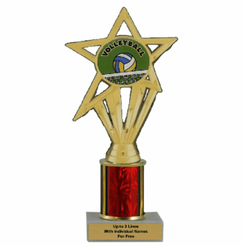 Economy Column Insert Trophy - Volleyball - Click to enlarge