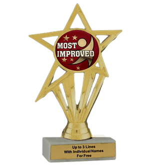 Budget Most Improved Insert Trophy | Achievement Trophies | TrophyCentral
