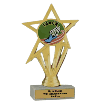Economy Participation Insert Trophy - Track - Click to enlarge