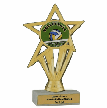 Economy Participation Insert Trophy - Volleyball - Click to enlarge