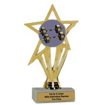 Economy Participation Insert Trophy - Weightlifting Excellence - Click to enlarge