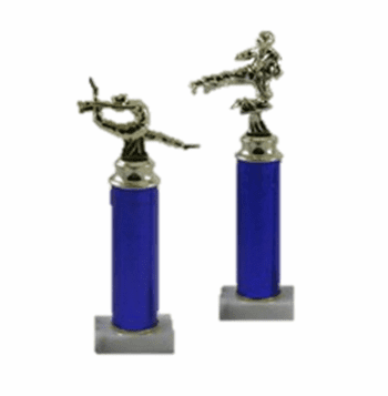 Economy Trophies - All Subjects - Click to enlarge