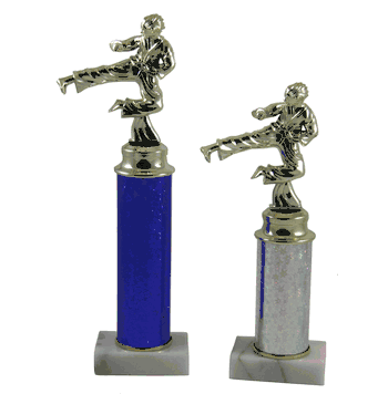 Economy Trophies - Karate - Click to enlarge