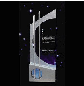 Endeavor Corporate Award - Click to enlarge