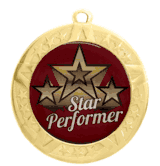 Epoxy Dome Gold Frame Insert Medal: Star Performer