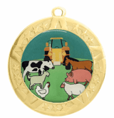 State & County Fair Epoxy Dome Insert Medal - Gold Frame, 2 3/4"