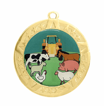 State & County Fair Epoxy Dome Insert Medal - Gold Frame, 2 3/4" - Click to enlarge