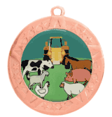 Epoxy Dome Insert Medal with Bronze Frame: State & County Fair