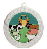 Epoxy Dome Silver Frame Insert Medal: State & County Fair