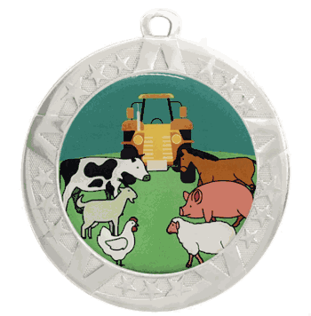 Epoxy Dome Silver Frame Insert Medal: State & County Fair - Click to enlarge