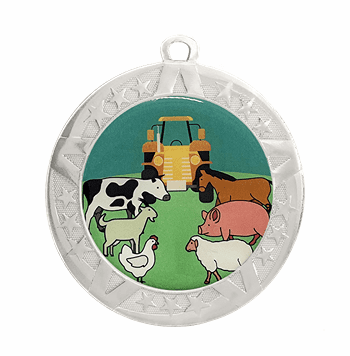 State & County Fair Epoxy Dome Insert Medal - Silver Frame, 2 3/4" - Click to enlarge