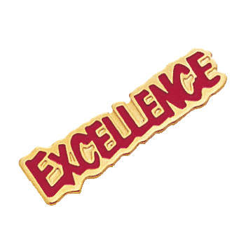 EXCELLENCE Pins - Click to enlarge